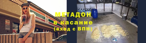 индика Алзамай