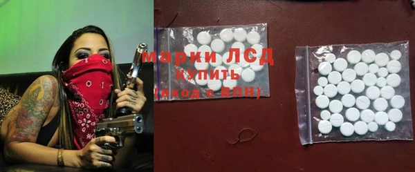 индика Алзамай