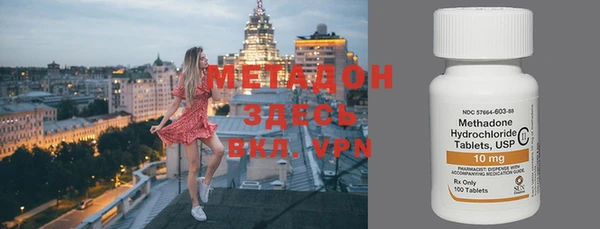 индика Алзамай