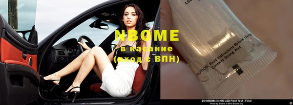 прущие грибы Алексин