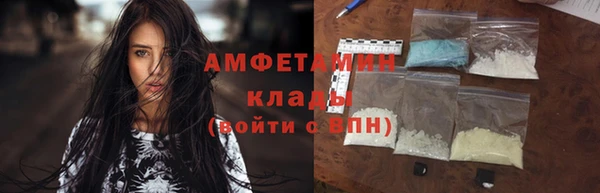 индика Алзамай