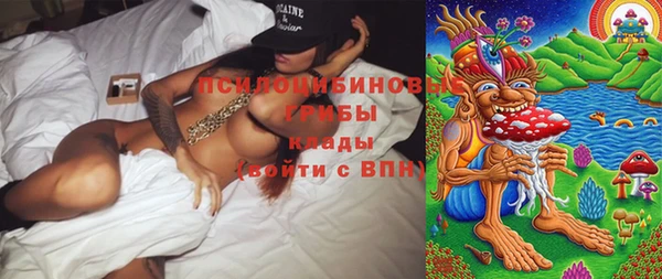 прущие грибы Алексин
