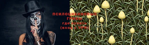 прущие грибы Алексин