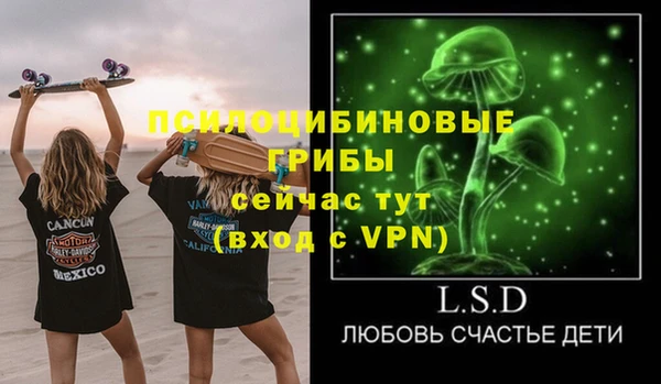 индика Алзамай