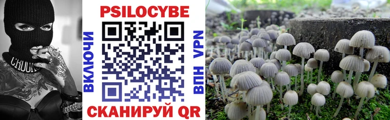 Галлюциногенные грибы Psilocybine cubensis Лениногорск