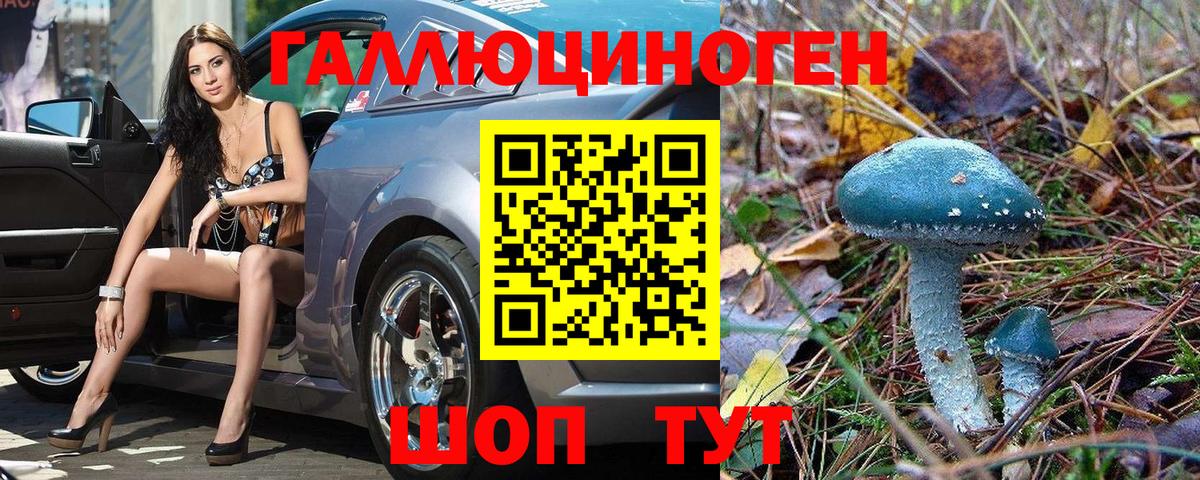 Лениногорск  Псилоцибиновые грибы Psilocybe  Вход с VPN 