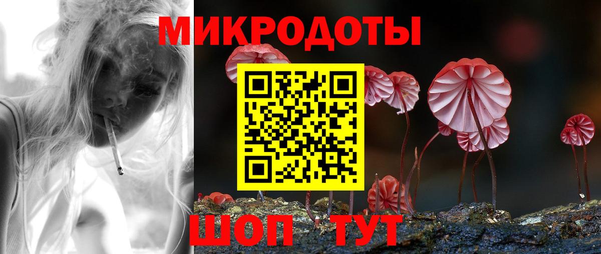 Галлюциногенные грибы Cubensis Лениногорск